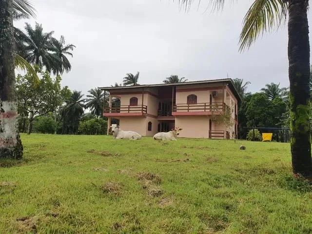 Imagem 12: Fazenda em Maragogipe com Píer