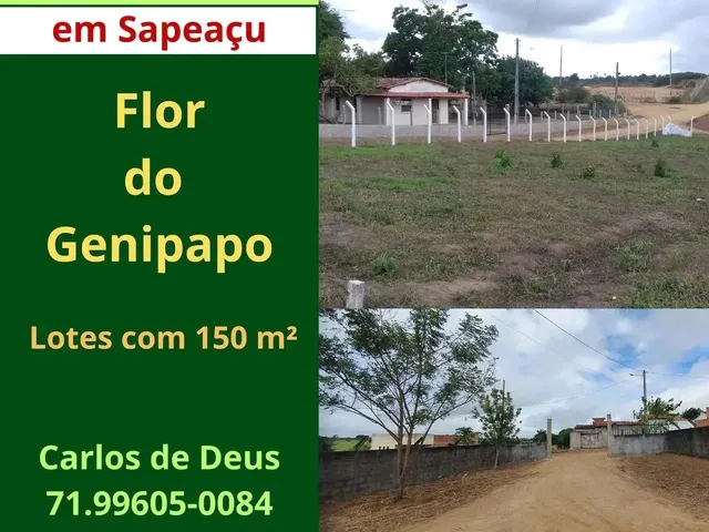 Imagem: Flor do Genipapo, Lotes por R$ 15.000,00