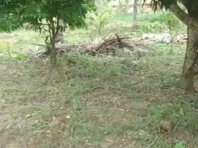 Imagem 15: Vende-Se Um Terreno com a Casa Pronta para Morar