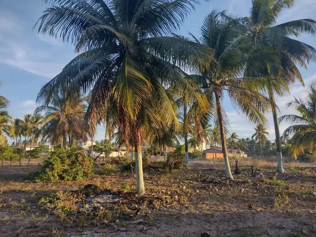 Imagem 2: Sítio Chácara com venda com preço sob consulta