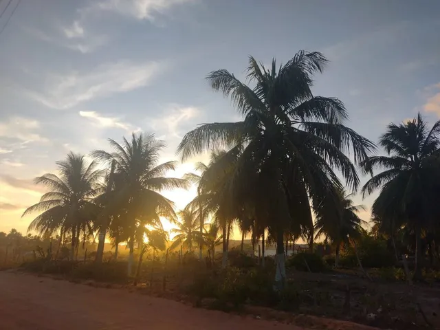 Imagem 3: Sítio Chácara com venda com preço sob consulta