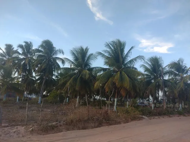 Imagem 9: Sítio Chácara com venda com preço sob consulta