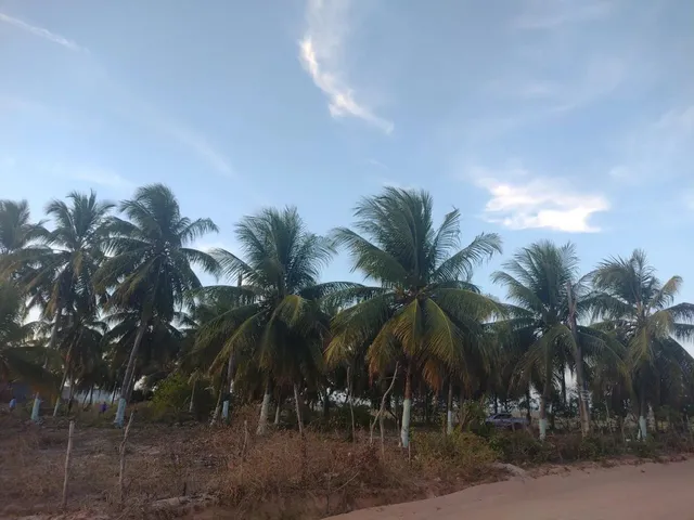 Imagem 10: Sítio Chácara com venda com preço sob consulta