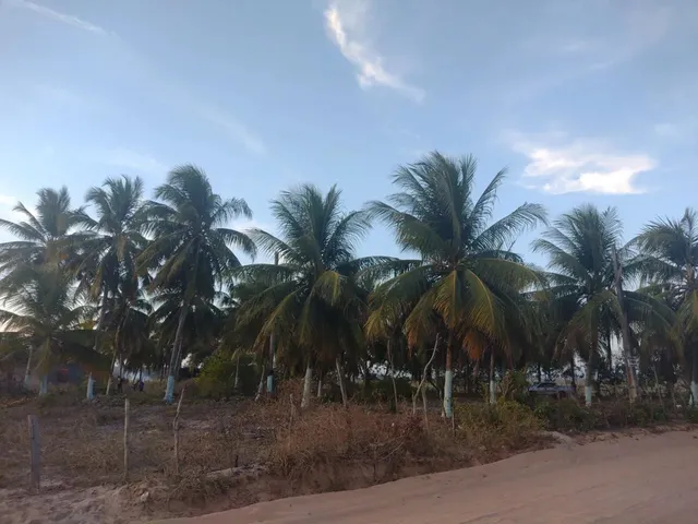Imagem 11: Sítio Chácara com venda com preço sob consulta