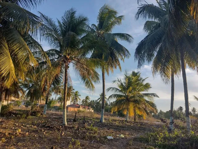 Imagem 12: Sítio Chácara com venda com preço sob consulta