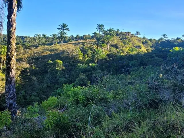 Imagem 10: Vendo Fazendinha em Valença Bahia