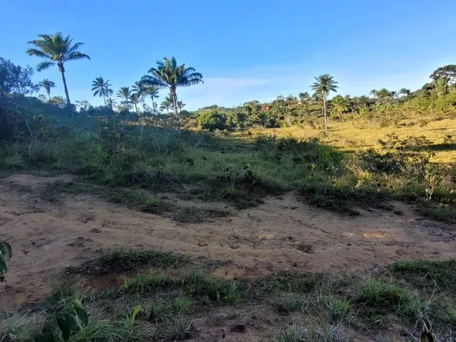 Imagem 11: Vendo Fazendinha em Valença Bahia