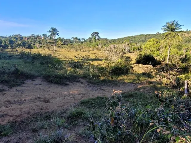 Imagem 12: Vendo Fazendinha em Valença Bahia