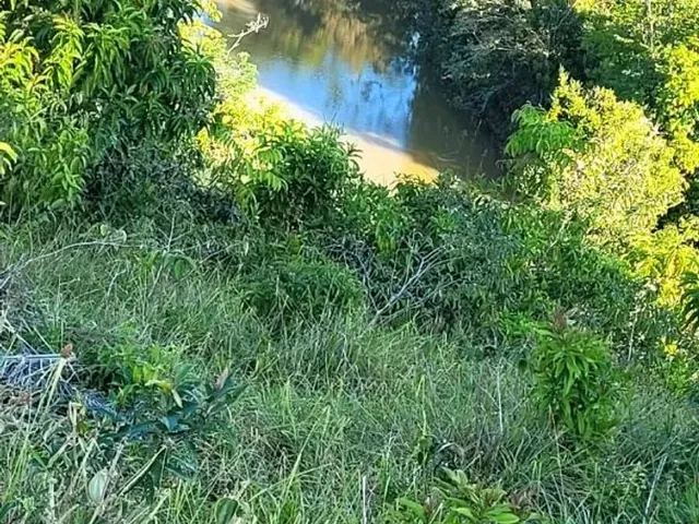 Imagem 13: Vendo Fazendinha em Valença Bahia