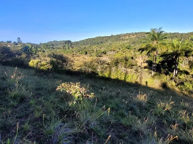 Imagem 2: Vendo Fazendinha em Valença Bahia
