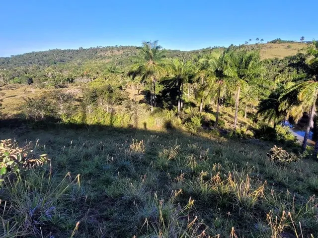 Imagem 3: Vendo Fazendinha em Valença Bahia
