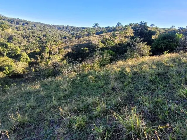 Imagem 4: Vendo Fazendinha em Valença Bahia