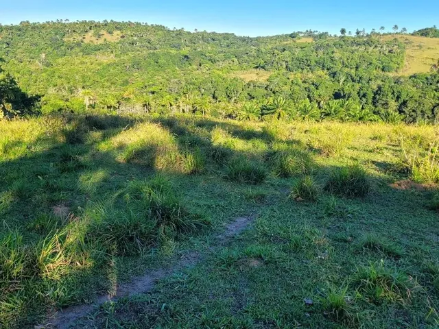 Imagem 5: Vendo Fazendinha em Valença Bahia