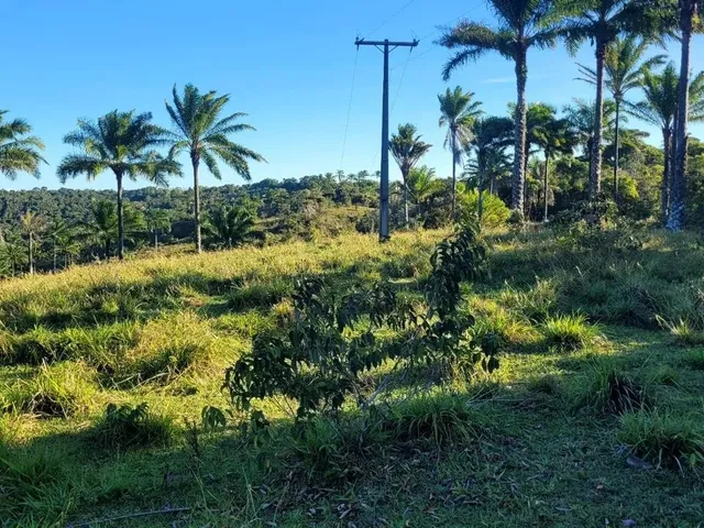 Imagem 6: Vendo Fazendinha em Valença Bahia