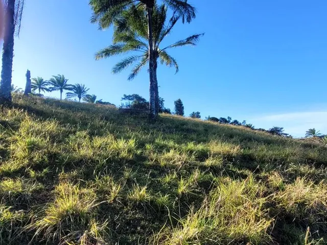 Imagem 8: Vendo Fazendinha em Valença Bahia