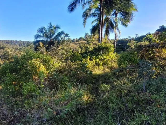 Imagem 9: Vendo Fazendinha em Valença Bahia