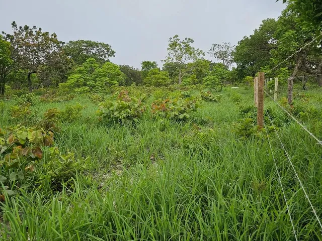 Imagem: Terreno de 2,75 Ha, a 18 Km da Cidade de