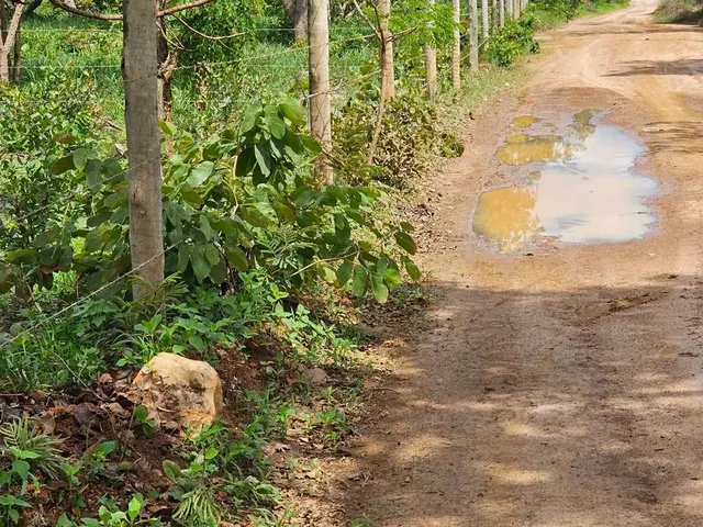 Imagem 4: Terreno de 2,75 Ha, a 18 Km da Cidade de Caetité-Ba O
