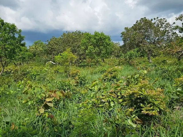 Imagem 6: Terreno de 2,75 Ha, a 18 Km da Cidade de Caetité-Ba O