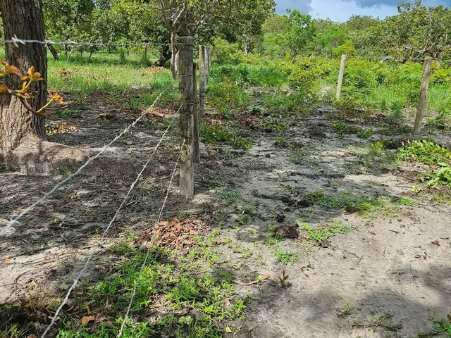 Imagem 9: Terreno de 2,75 Ha, a 18 Km da Cidade de Caetité-Ba O