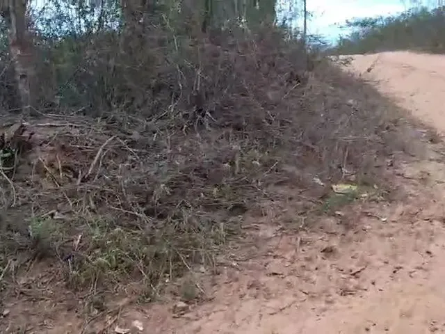 Imagem: Vende Se Terreno! Fazenda João do Alto