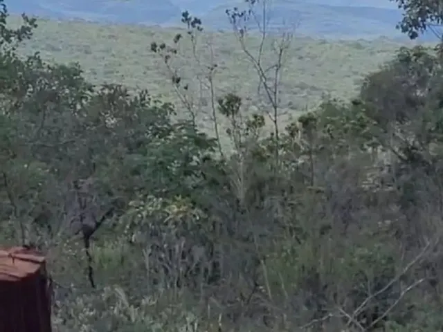 Imagem 5: Área para Sítio Ou Chalé na Chapada