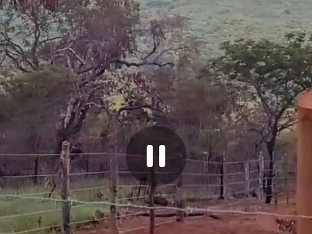 Imagem 4: Área para Sítio Ou Chalé na Chapada
