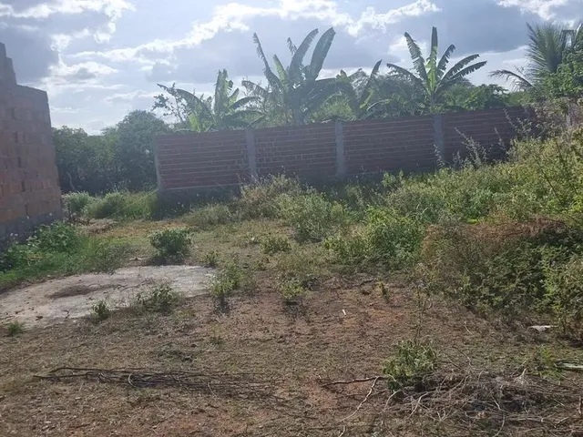 Imagem 2: Terreno 12X25 Oliveira Brito