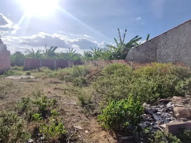 Imagem 4: Terreno 12X25 Oliveira Brito