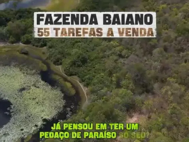 Imagem: Vendo Fazenda na Chapada Diamantina