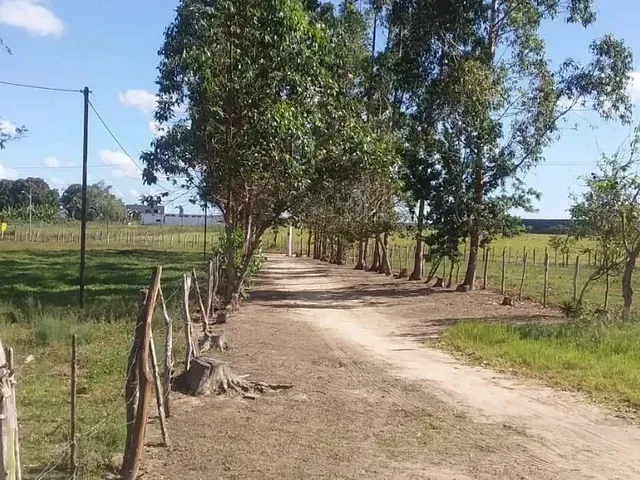 Imagem: Sítio À Venda em Entre Rios Ba Mais de