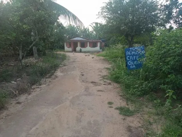 Imagem 6: Vendo Excelente Sítio em Laje