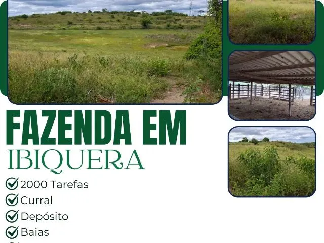 Imagem: Fazenda em Ibiquera - 2000 Tarefas