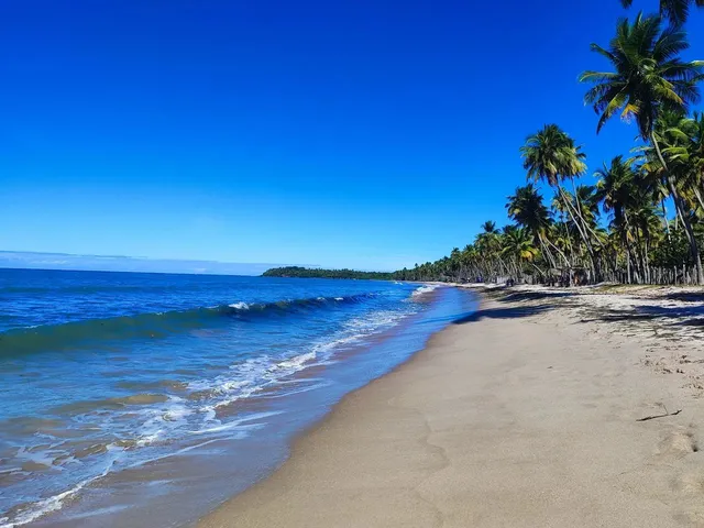 Imagem: Terreno 200M² na Ilha de Boipeba - Bairro