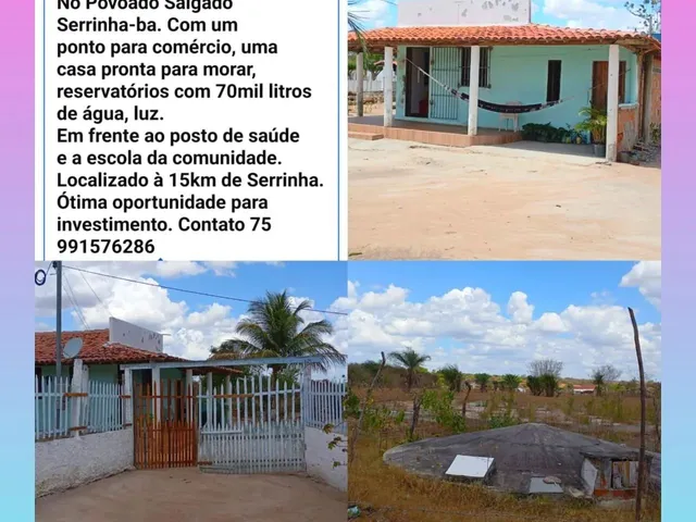 Imagem 5: Vende-Se Sítio *