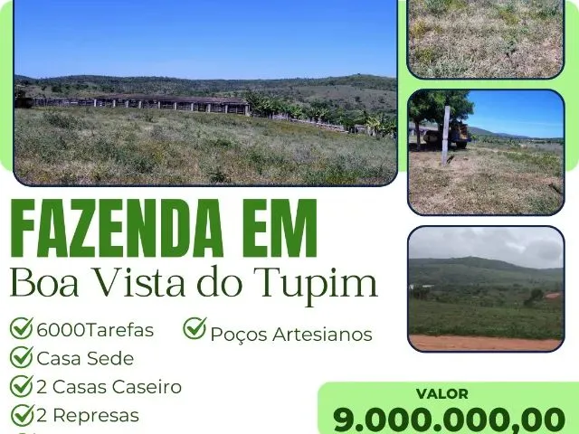 Imagem: Fazenda em Boa Vista do Tupim - 6000 Tarefas
