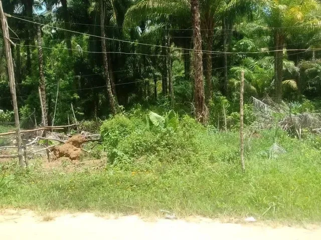 Imagem: Lote/ Terreno / Taperoa Bahia