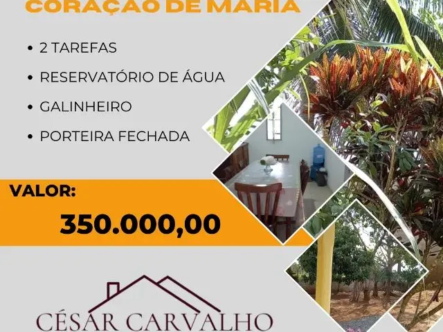 Imagem 1: Chácara em Coração de Maria - 2 Tarefas