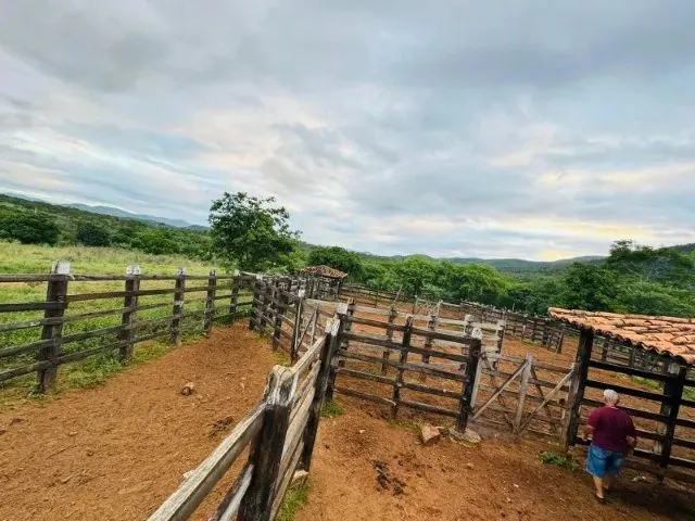 Imagem 15: Fazenda À 22Km de Itaberaba - 2415 Tarefas