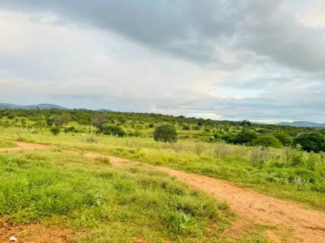 Imagem 7: Fazenda À 22Km de Itaberaba - 2415 Tarefas