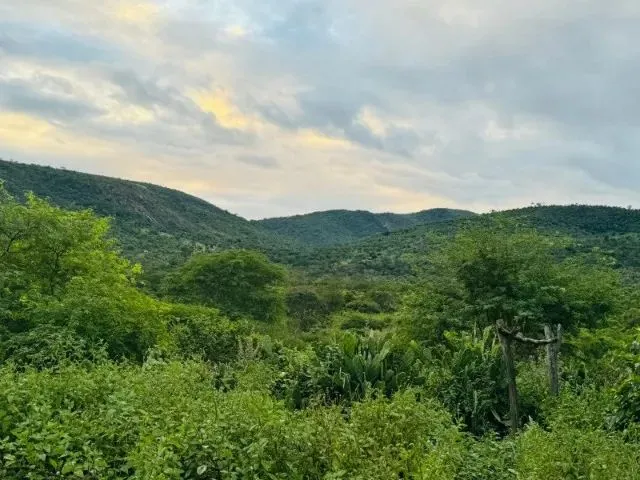 Imagem 14: Fazenda À 22Km de Itaberaba - 2415 Tarefas