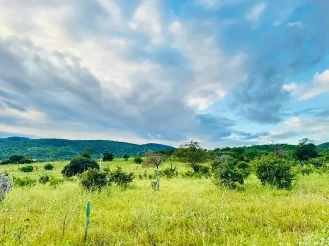 Imagem 3: Fazenda À 22Km de Itaberaba - 2415 Tarefas