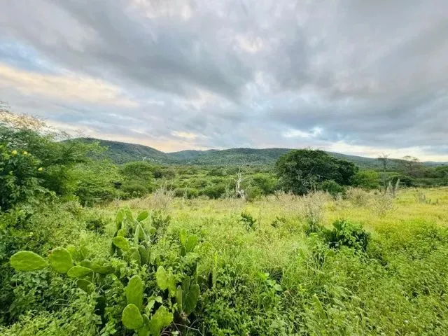 Imagem 8: Fazenda À 22Km de Itaberaba - 2415 Tarefas