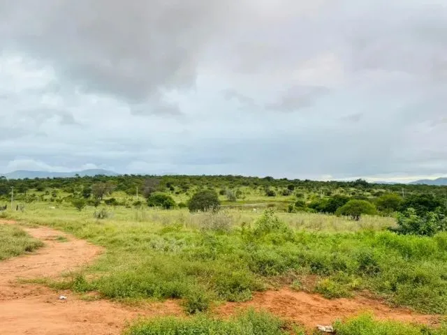 Imagem 5: Fazenda À 22Km de Itaberaba - 2415 Tarefas