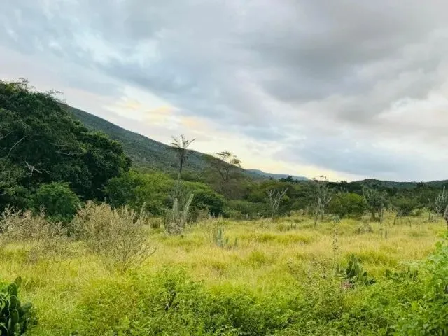 Imagem 12: Fazenda À 22Km de Itaberaba - 2415 Tarefas