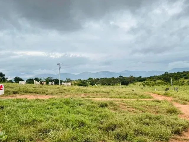 Imagem 16: Fazenda À 22Km de Itaberaba - 2415 Tarefas