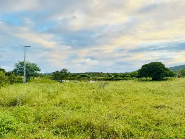 Imagem 13: Fazenda À 22Km de Itaberaba - 2415 Tarefas