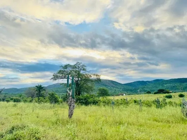 Imagem 10: Fazenda À 22Km de Itaberaba - 2415 Tarefas