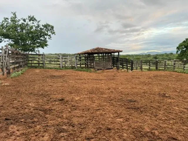 Imagem 11: Fazenda À 22Km de Itaberaba - 2415 Tarefas