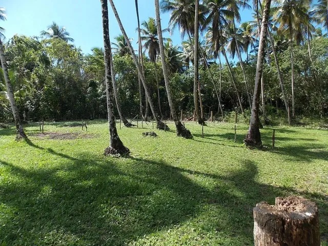 Imagem 1: Terreno em Ilha Morro de São Paulo